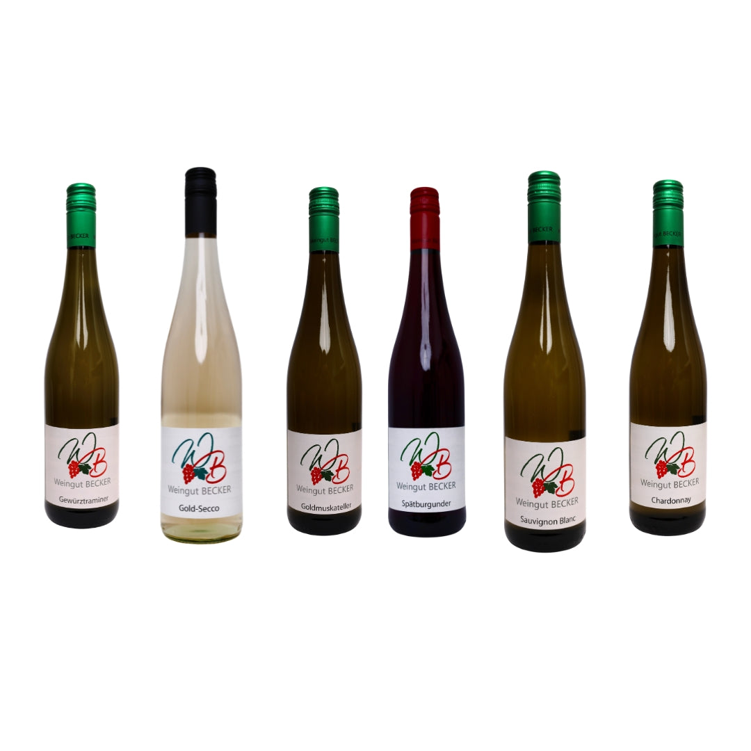 MERRY MI - X - MAS Paket